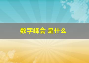 数字峰会 是什么